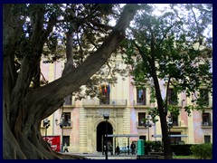 Tribunal Superior de Justicia (Supreme Court of Justice